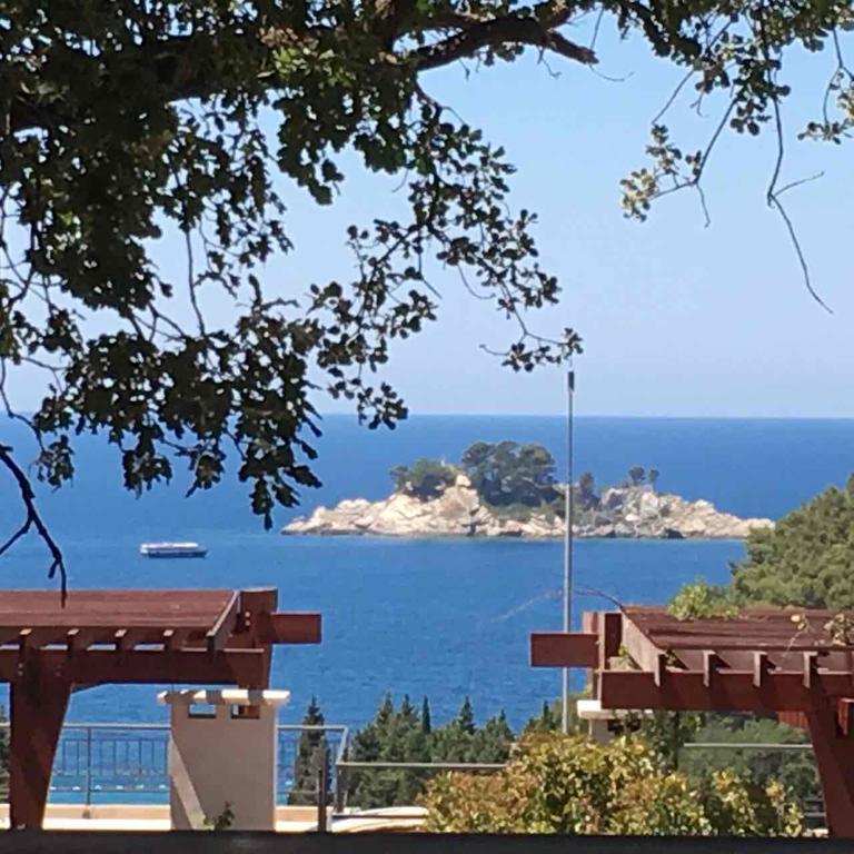 Villa Julia Petrovac Bagian luar foto