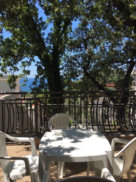 Villa Julia Petrovac Bagian luar foto
