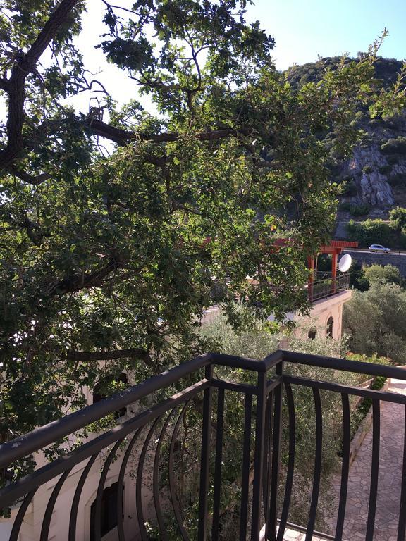 Villa Julia Petrovac Bagian luar foto