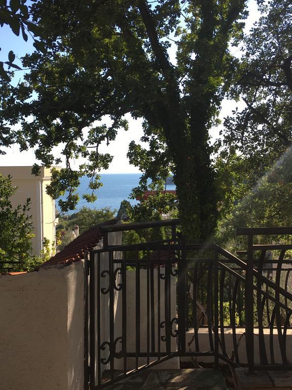 Villa Julia Petrovac Bagian luar foto