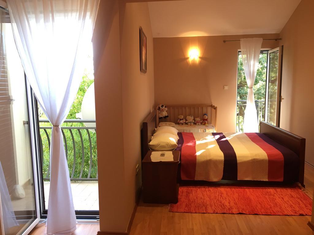 Villa Julia Petrovac Bagian luar foto