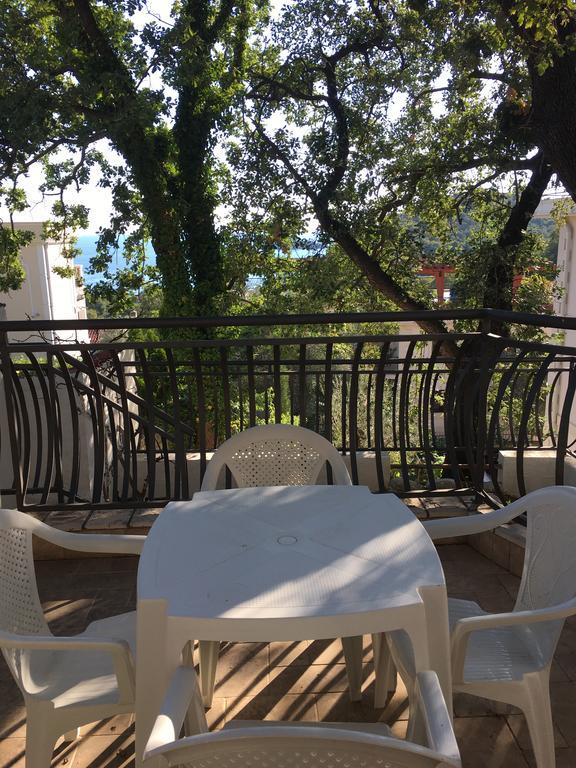 Villa Julia Petrovac Bagian luar foto