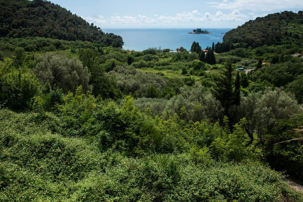 Villa Julia Petrovac Bagian luar foto