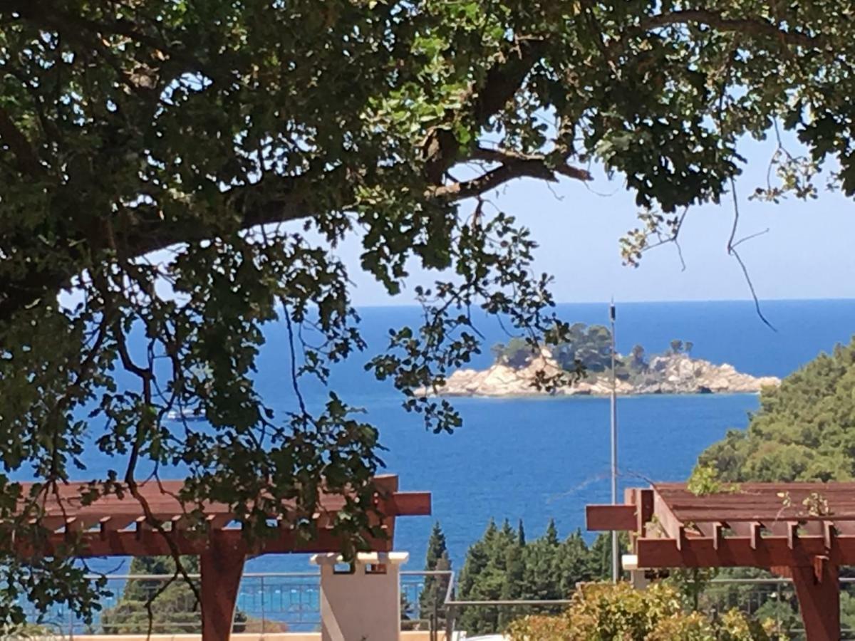Villa Julia Petrovac Bagian luar foto
