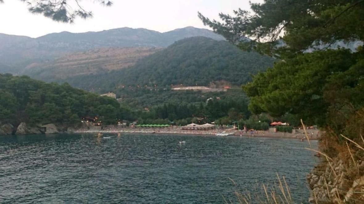 Villa Julia Petrovac Bagian luar foto