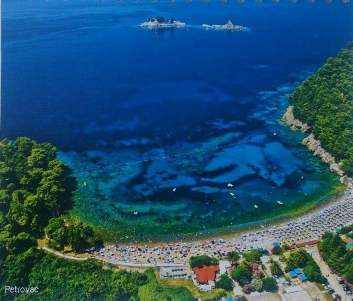 Villa Julia Petrovac Bagian luar foto
