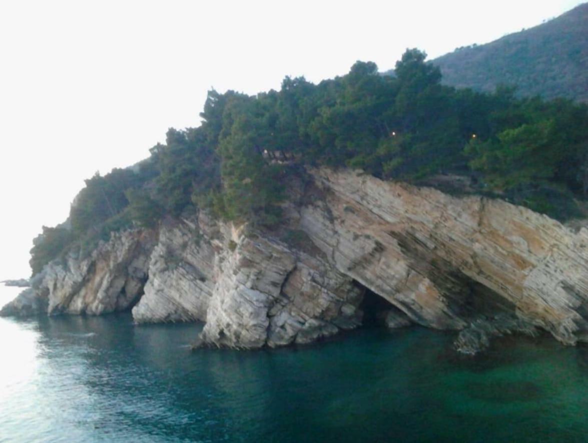 Villa Julia Petrovac Bagian luar foto